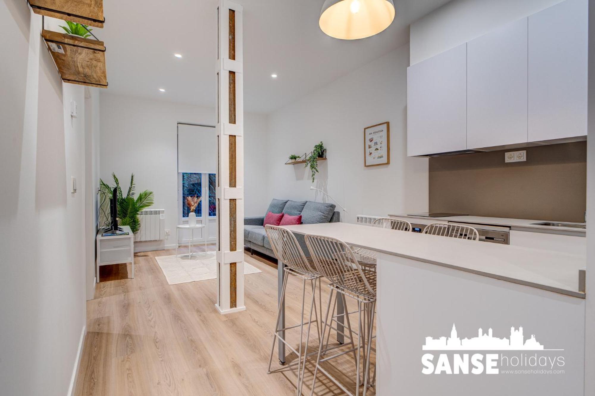 Apartamentos Salud By Sanse Holidays サン・セバスティアン エクステリア 写真