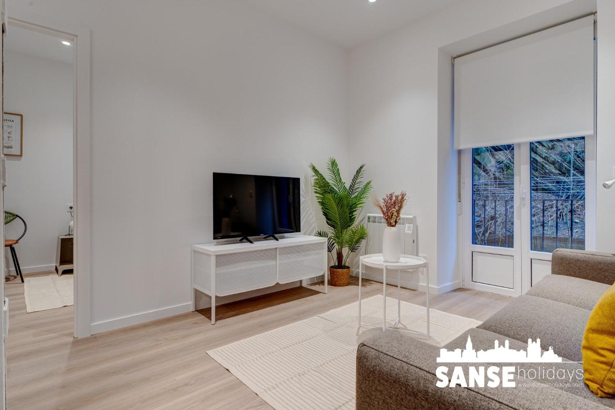 Apartamentos Salud By Sanse Holidays サン・セバスティアン エクステリア 写真